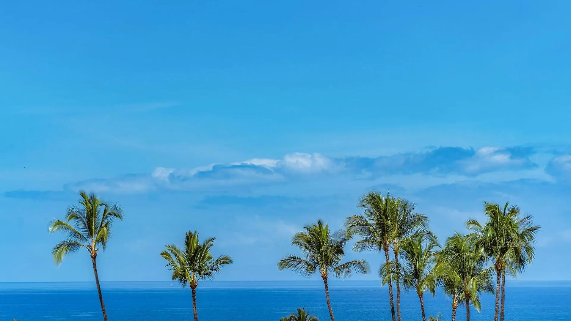 New Listing! - Wailea Ekahi 39E - Luxurious Ocean View Condo, Split Ac! 別荘